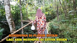 Di Guyur Hujan Deras Saat Di plosok Hutan Aktifitas Berkebun