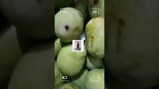 #shortsvideo #mango #yummy #mangoes #fruit #trendingshorts #reelsvideo #reels #yaay