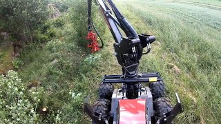 Alstor 840 H harvesting trees for biofuel- View from Machine