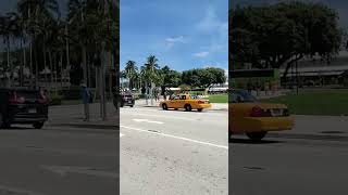 day out in Miami city Florida 4K vedio#florida #shorts#youtubeshorts #miamicity #maimicitytour#viral