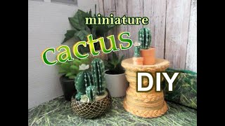 DIY Miniature Cactus Plants