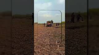 viral Shorts in 9 sac #tractor ki #trending #video #viral