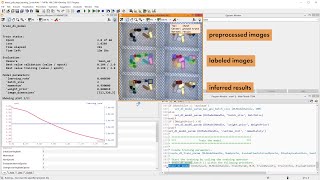 HALCON's Deep-Learning-Based Object Detection 2: Train a model