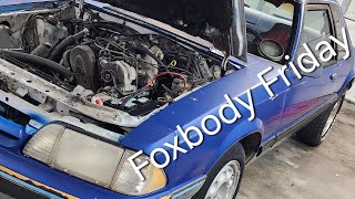 Foxbody Friday Ep 5