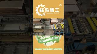 Automatic Composer Machine Equipment for Plywood Core Veneer Composing Hummingbird machinery