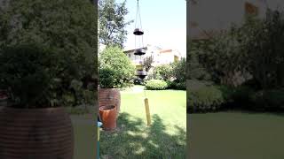 Temple Wind Chimes Three Bells Ring