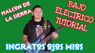 Ingratos Ojos Mios - El Halcon de la Sierra (TABS Bajo Electrico Tutorial)