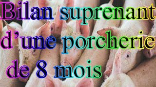 Voici le bilan surprenant d'une porcherie qui a fait à peine 8 mois