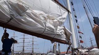 Scheveningen Sailop 2019 - Tall ship experience