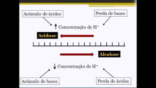 Entenda gasometria - PARTE 1 (vídeo aula)