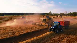 Getreideernte 2023 // New Holland CX //