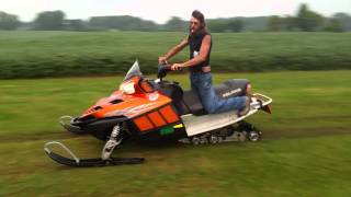 Turbo sleds playing in the grass