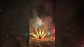 Big Peacock Crackers #diwali2024 #shorts #crackers #shortfeed #ytshorts #reels #yt