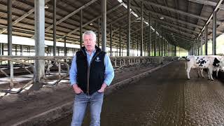 Sand beds for increased cow comfort and reduced mastitis cases