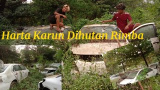 Harta Karun Dihutan Rimba