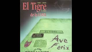 12 - Mujer, Mujer - Grupo El Tigre de la UANL