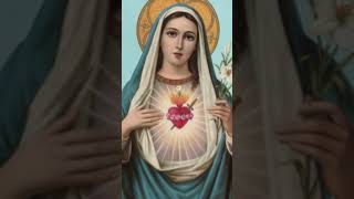 Novena to the Immaculate Heart of Mary- Day 4 #prayer #mary #novena #mothermary