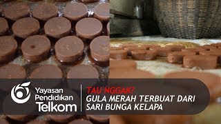 Tau Nggak Gula Merah Itu Terbuat Dari Sari Bunga Kelapa? | TESO