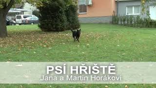 Projekt PaRo - Psí hřiště