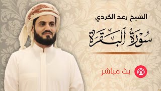 سورة البقرة مكتوبة  | الشيخ رعد محمد الكردي