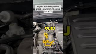 Szybkie przypomnienie płynów eksploatacyjnych do egzaminu 🧑🏻‍🏫🚗😃 #autofun #naukajazdy #szkolajazdy