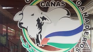 voy a la cámara de ganaderos de Cañas Guanacaste