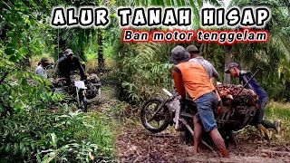 Kebun Sawit Semak Belukar || Motor Pelangsir Nancap Ditanah Hisap