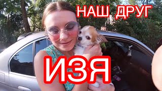 Изя друг | Дети | Футбол | Приют | Борис Борисович Б.Б.Б.