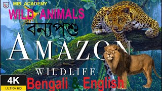 WILD ANIMALS IN BENGALI,Amazing Scene of Wild Animals In 4K  Animals for Kids, MIR ACADEMY