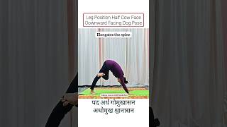 Half Cow Face in Downward Dog Pose #shorts #yoga