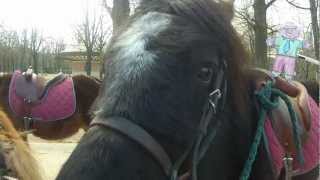 Flat Stanley at Luxembourg Palace in Paris - Stan sits on one of the ponies