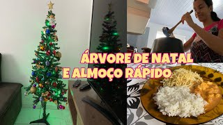 MONTEI A ÁRVORE DE NATAL COM MINHA FILHA DE 3 anos, ALMOÇO RÁPIDO E DELICIOSO 😍 | Gabi de Paula