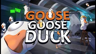 Я ПОПАЛ НА КАСМИЧЕСКИЙ КАРАБАЛЬ GOOSE GOOSE DUSK