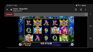 Wild Pixies slot game