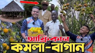 আফ্রিকার গহীন বনে পুলিশের হাতে ধরাঃ ১টাকার ২টা কমলা || শুধু বৃষ্টির পানি থেকেই ফলন! Orange in Africa