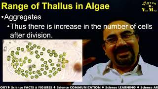 Range of Thallus in Algae with Gujarati narration