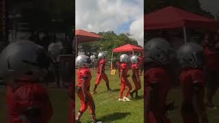 Sweetwater Cardinals 8u #davidonthedaily #youtubeshorts #duval #youthfootball #8u #youthsports