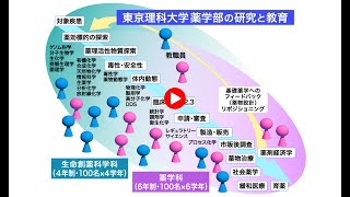 東京理科大学薬学部の研究領域