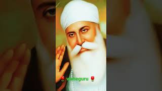 Dhian Dhar Mehsoos Karwa.  #shorts#status_Sri_Guru_ Nanak_Dev_ Ji🌷