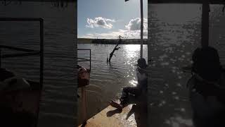 pesca de piau no goias