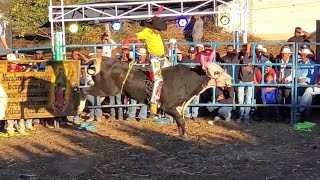 Impresionante Jaripeo En Santos Reyes Tepejillo Oaxaca