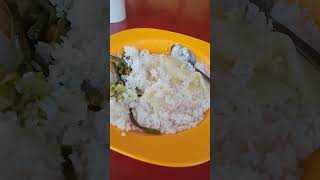 rice is life in the Philippines