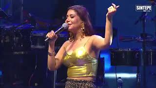 Priscila Senna - Recife/PE - Festa do Trabalhador em Educação- Outubro 2024 -#priscilasenna #recife