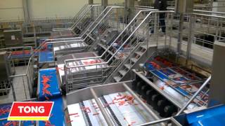 Carrot Processing - Tong Carrot Grading and Washing Packhouse Handling Line