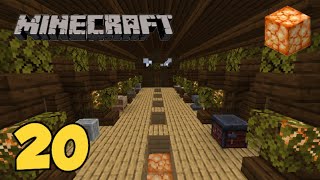 Minecraft Survival EP. 20 - EDIFICIO PER I BLOCCHI FUNZIONALI