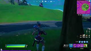 Another Fortnite win!