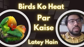 Apne Birds Ko Heat Par Kaise Laty Hain