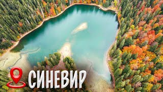 Озеро СИНЕВИР. Морское око Карпат. Что посмотреть на Закарпатье?