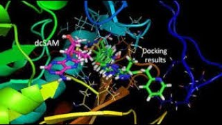 Receptor Grid Identification