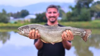 Cooking Trout in Salt Dough by the Lake - A Perfect Outdoor Experience